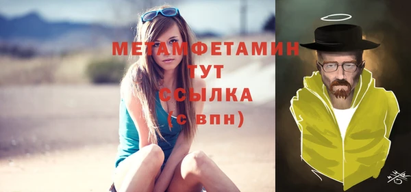 прущие грибы Вязьма