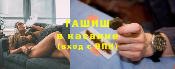 прущие грибы Вязьма