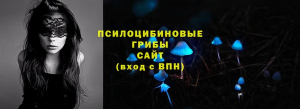 спиды Горнозаводск
