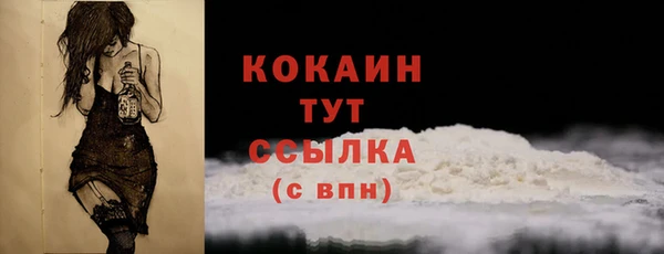 соль ск Вяземский