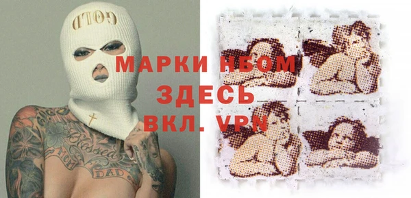 соль ск Вяземский