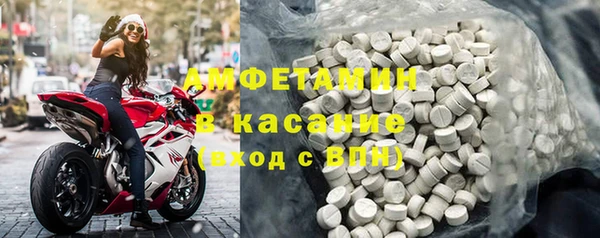 прущие грибы Вязьма