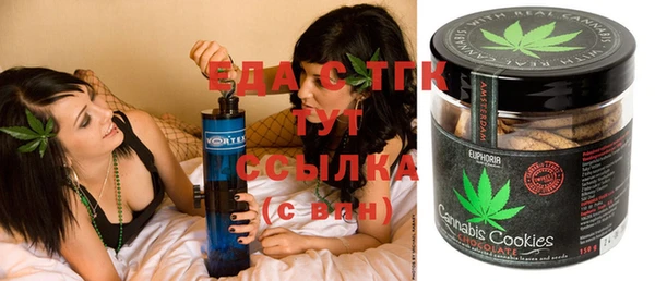 прущие грибы Вязьма
