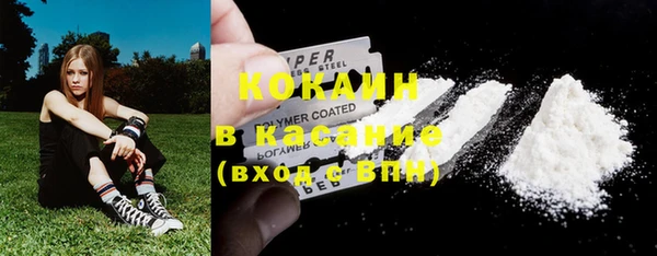 прущие грибы Вязьма