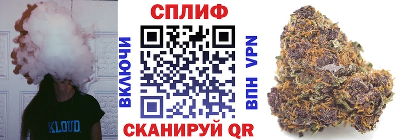сколько стоит Ивантеевка Шишки марихуана сатива